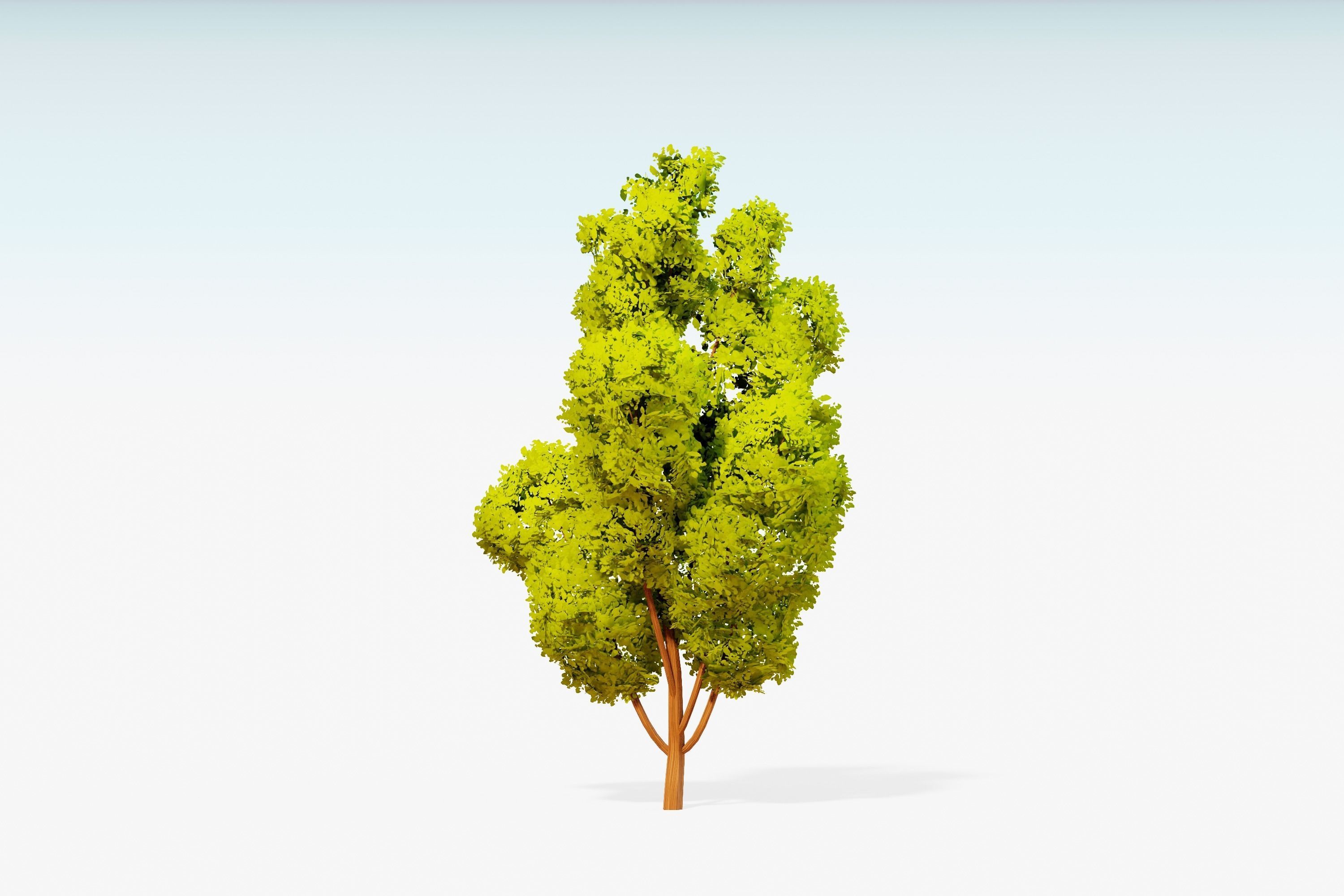 Stylized Trees Pack 55 Trees Low-poly 3D model_47