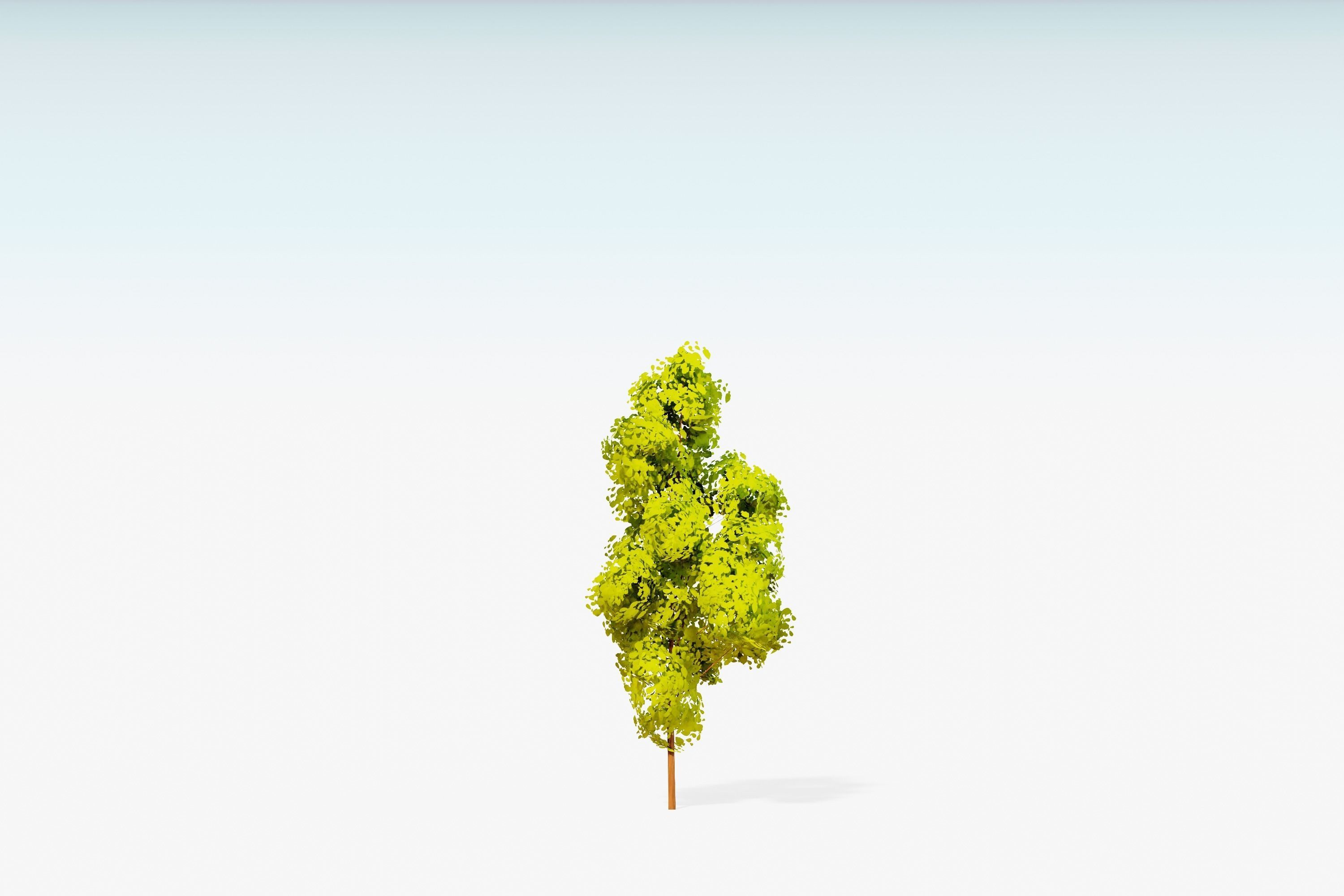 Stylized Trees Pack 55 Trees Low-poly 3D model_50