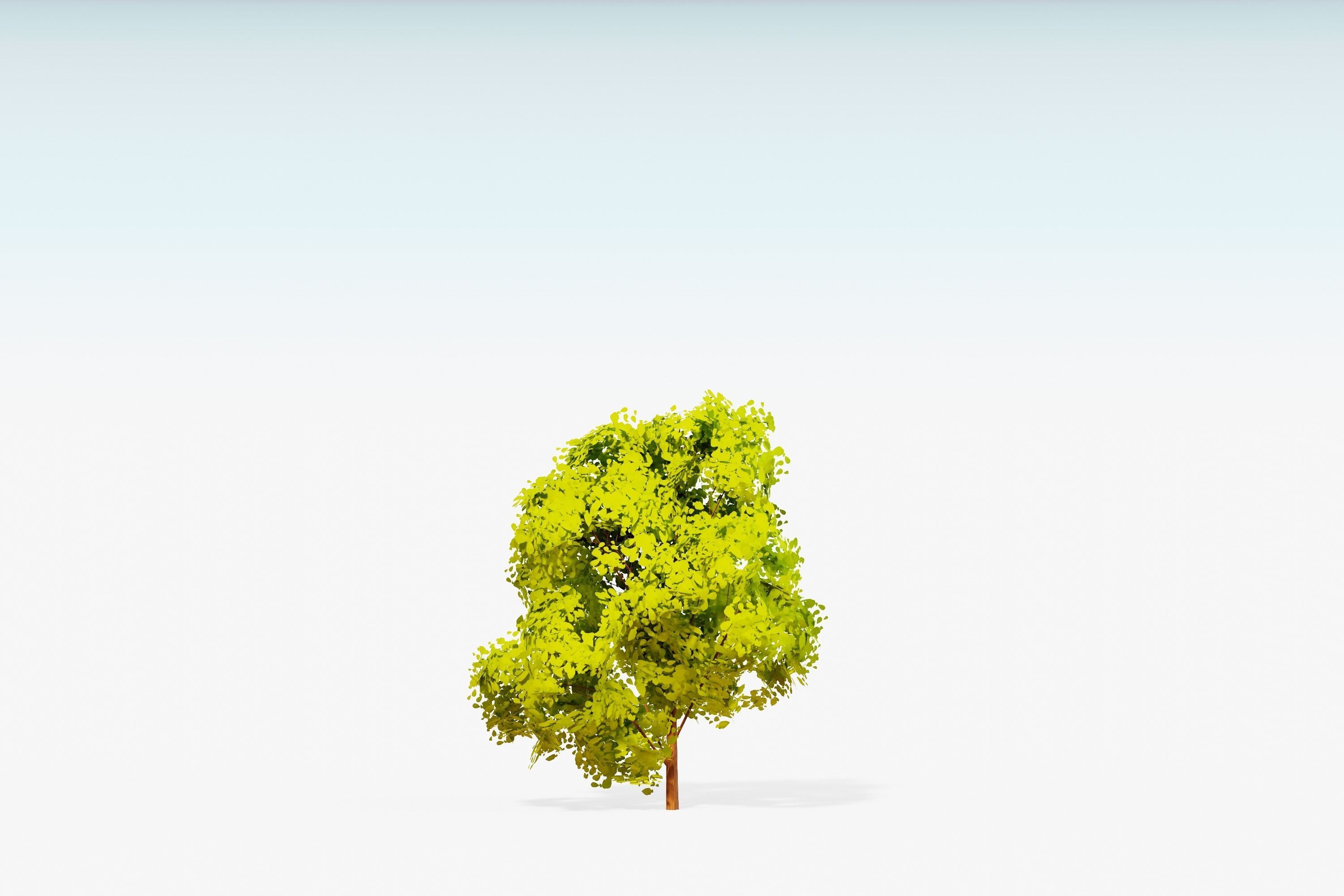Stylized Trees Pack 55 Trees Low-poly 3D model_54