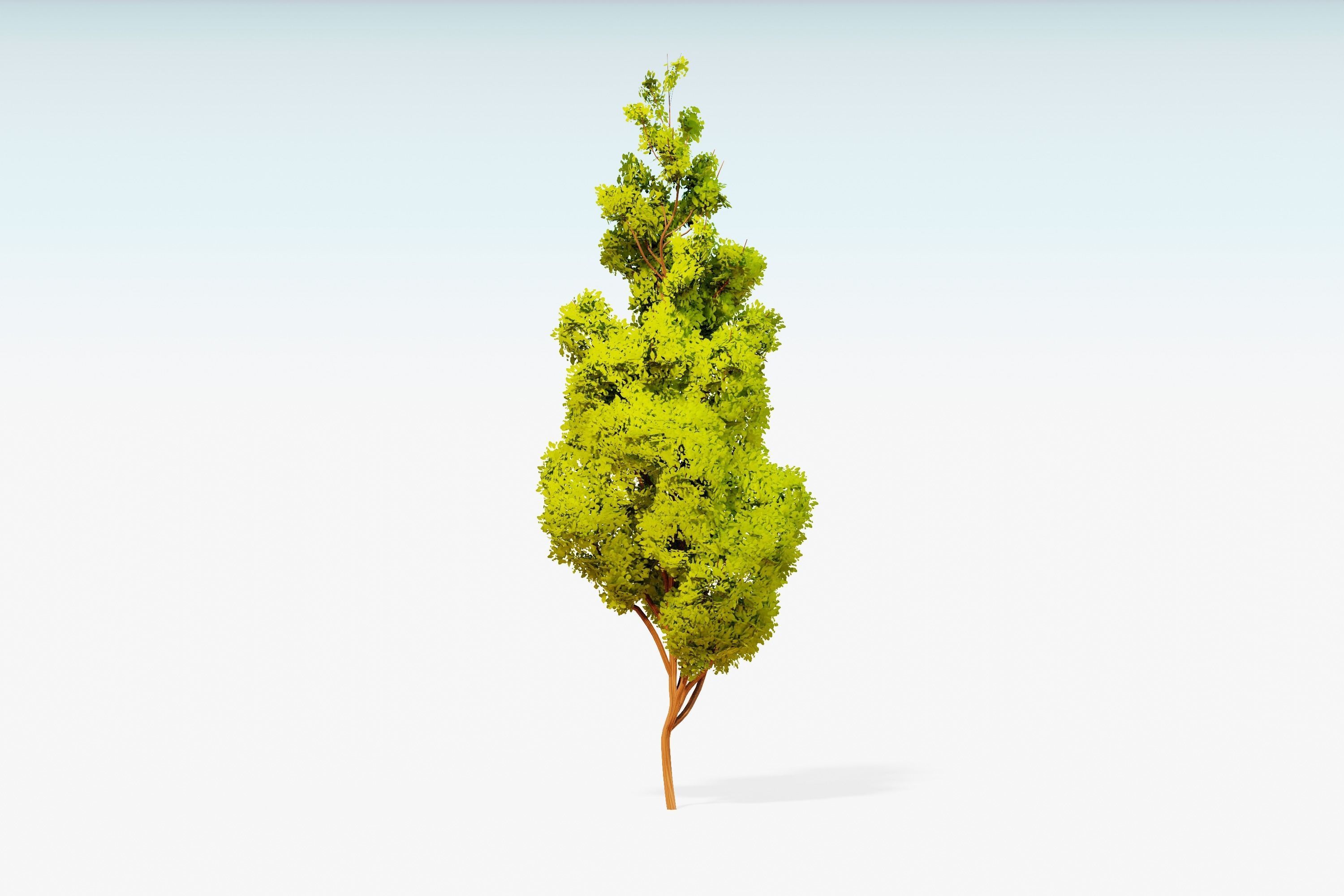 Stylized Trees Pack 55 Trees Low-poly 3D model_34