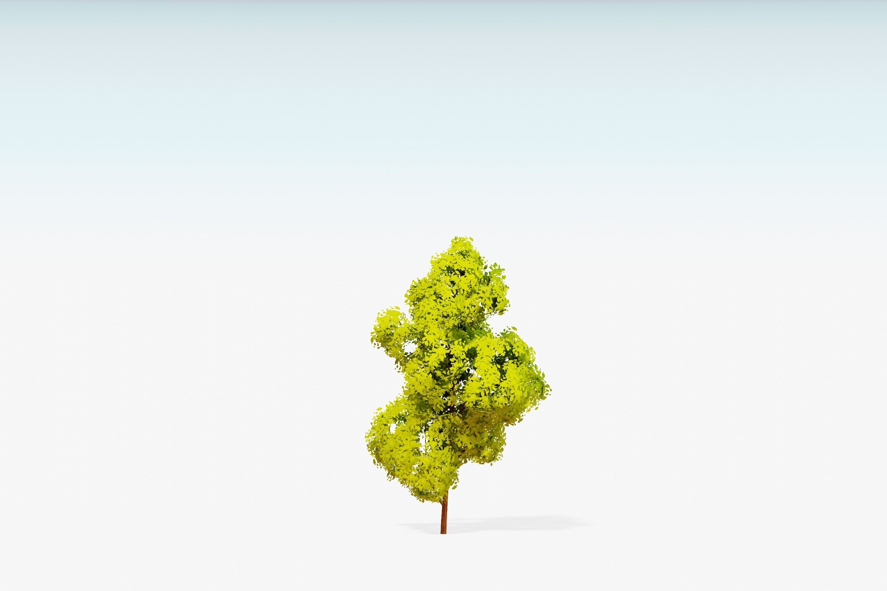 Stylized Trees Pack 55 Trees Low-poly 3D model_55