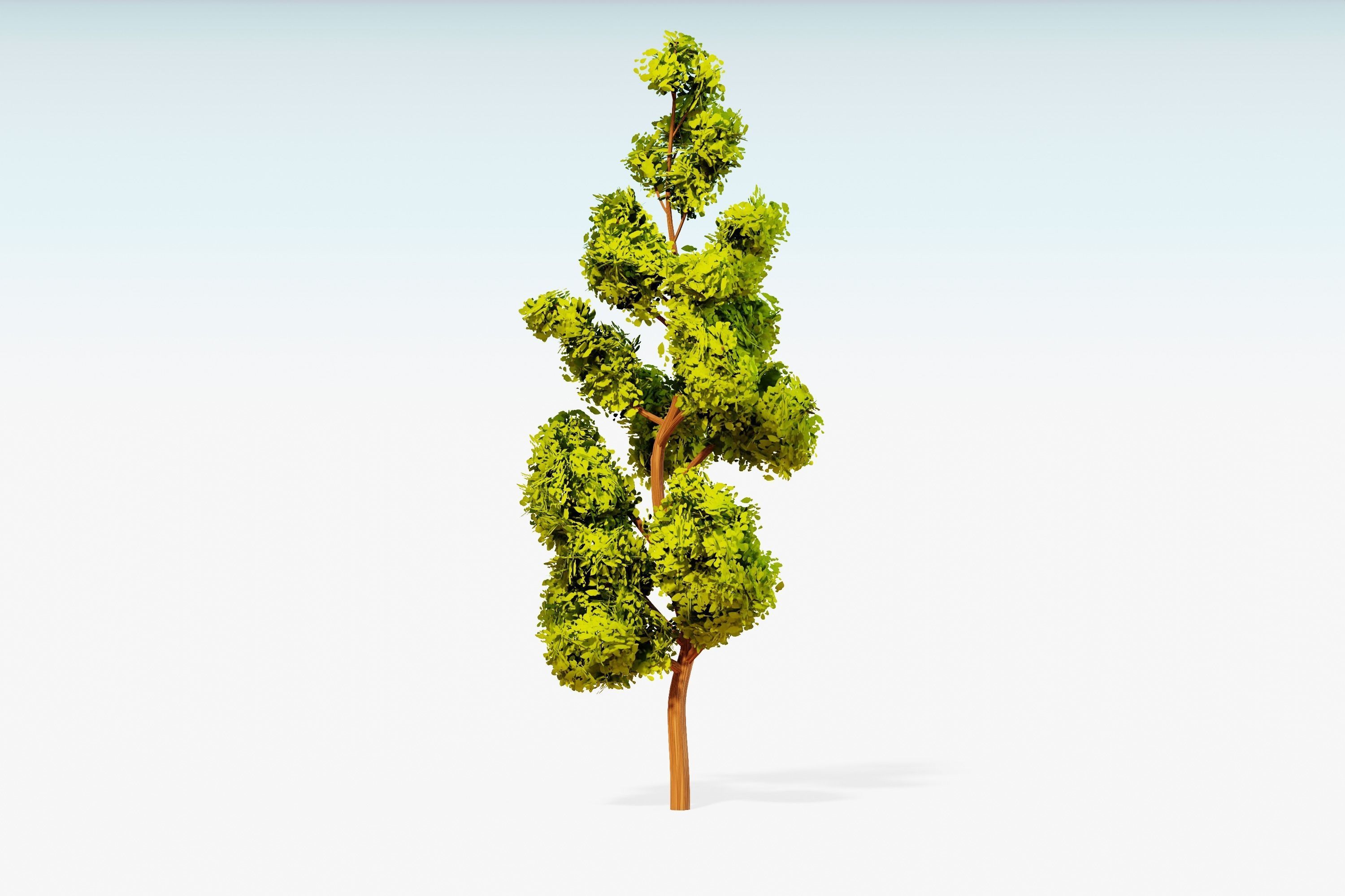 Stylized Trees Pack 55 Trees Low-poly 3D model_13