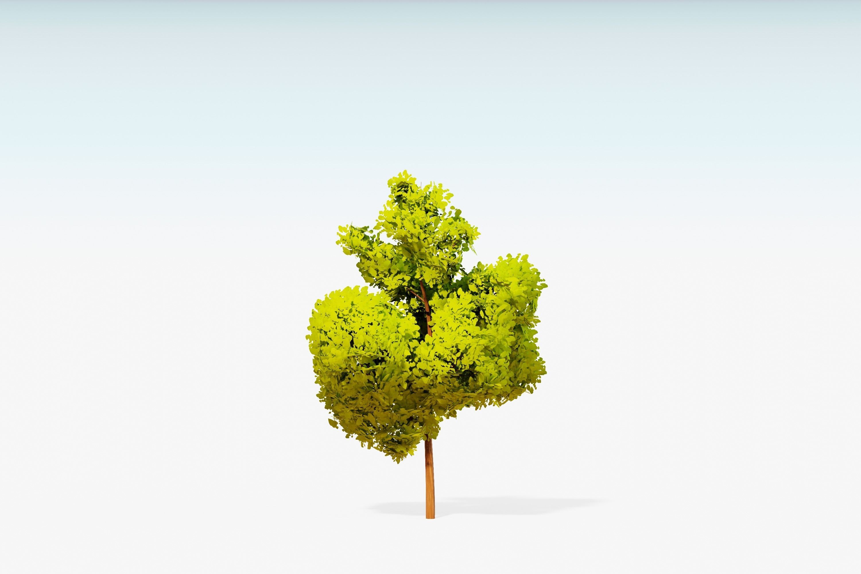 Stylized Trees Pack 55 Trees Low-poly 3D model_40