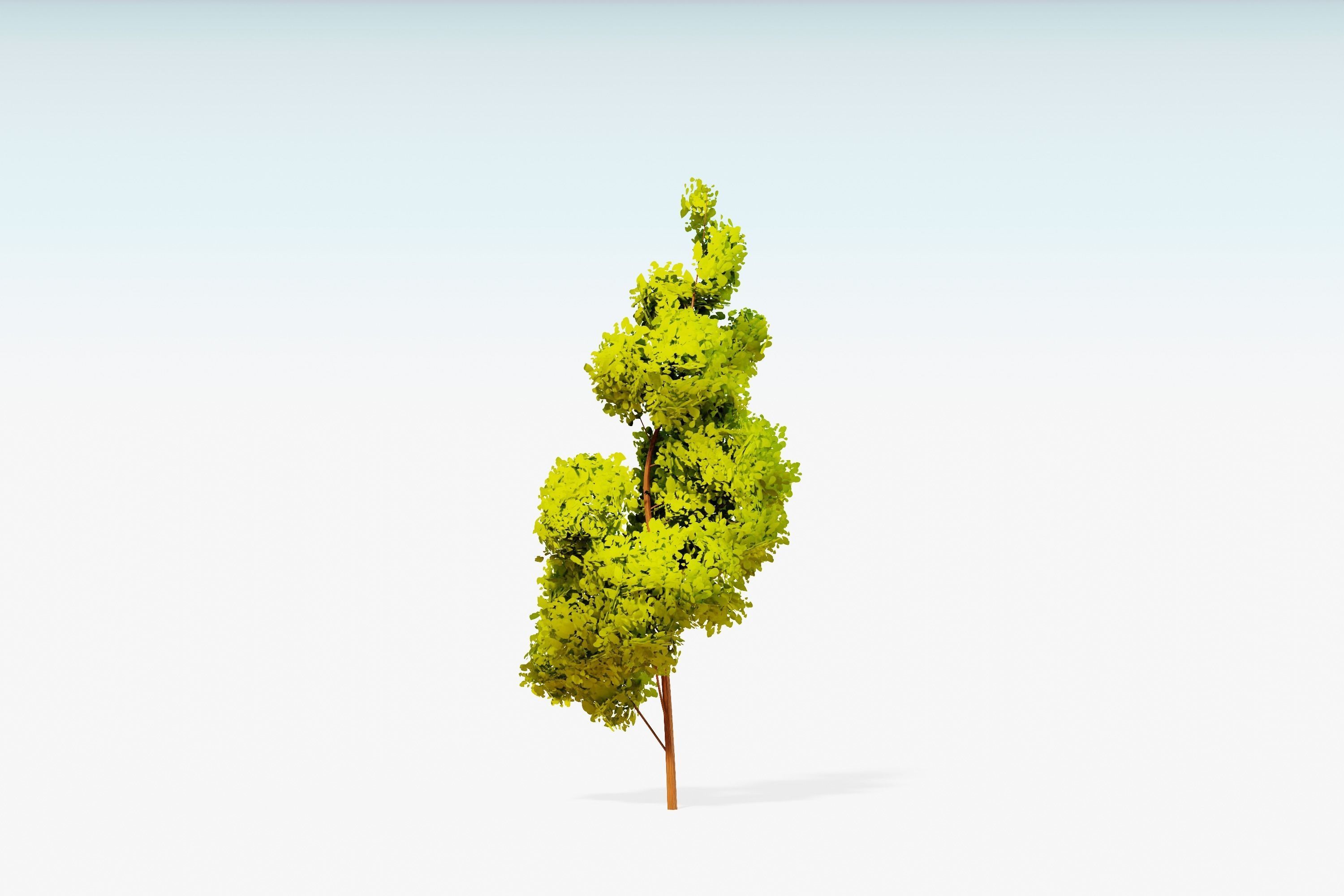 Stylized Trees Pack 55 Trees Low-poly 3D model_37