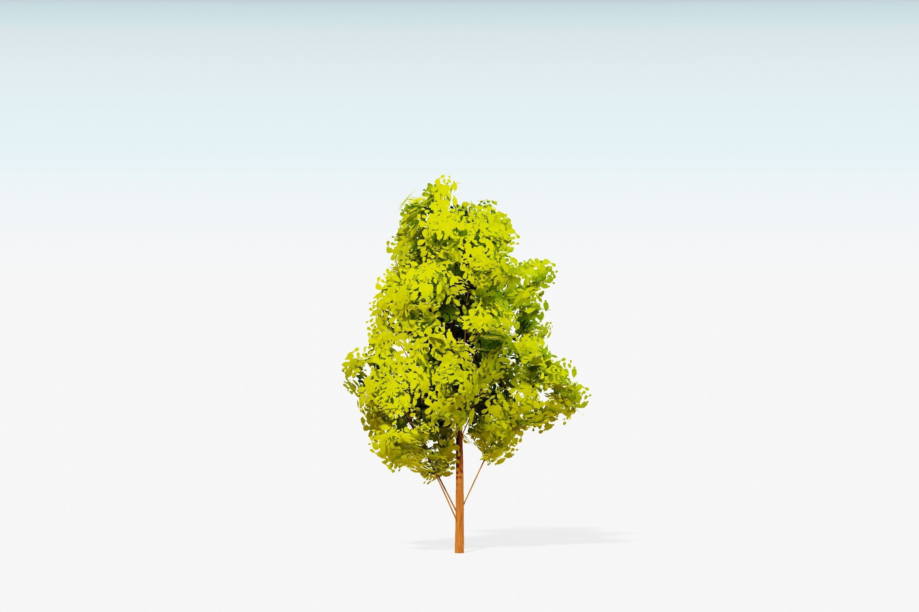 Stylized Trees Pack 55 Trees Low-poly 3D model_59