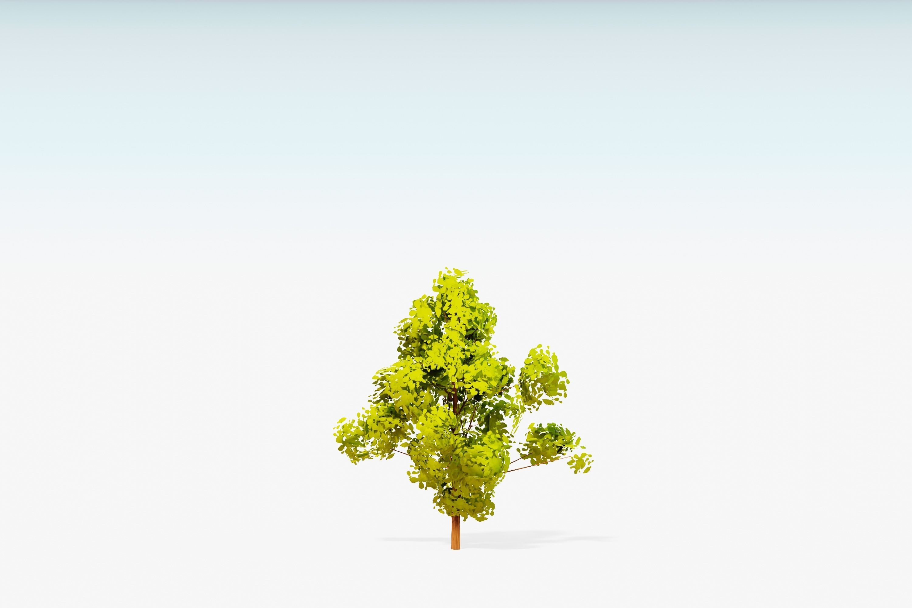 Stylized Trees Pack 55 Trees Low-poly 3D model_49