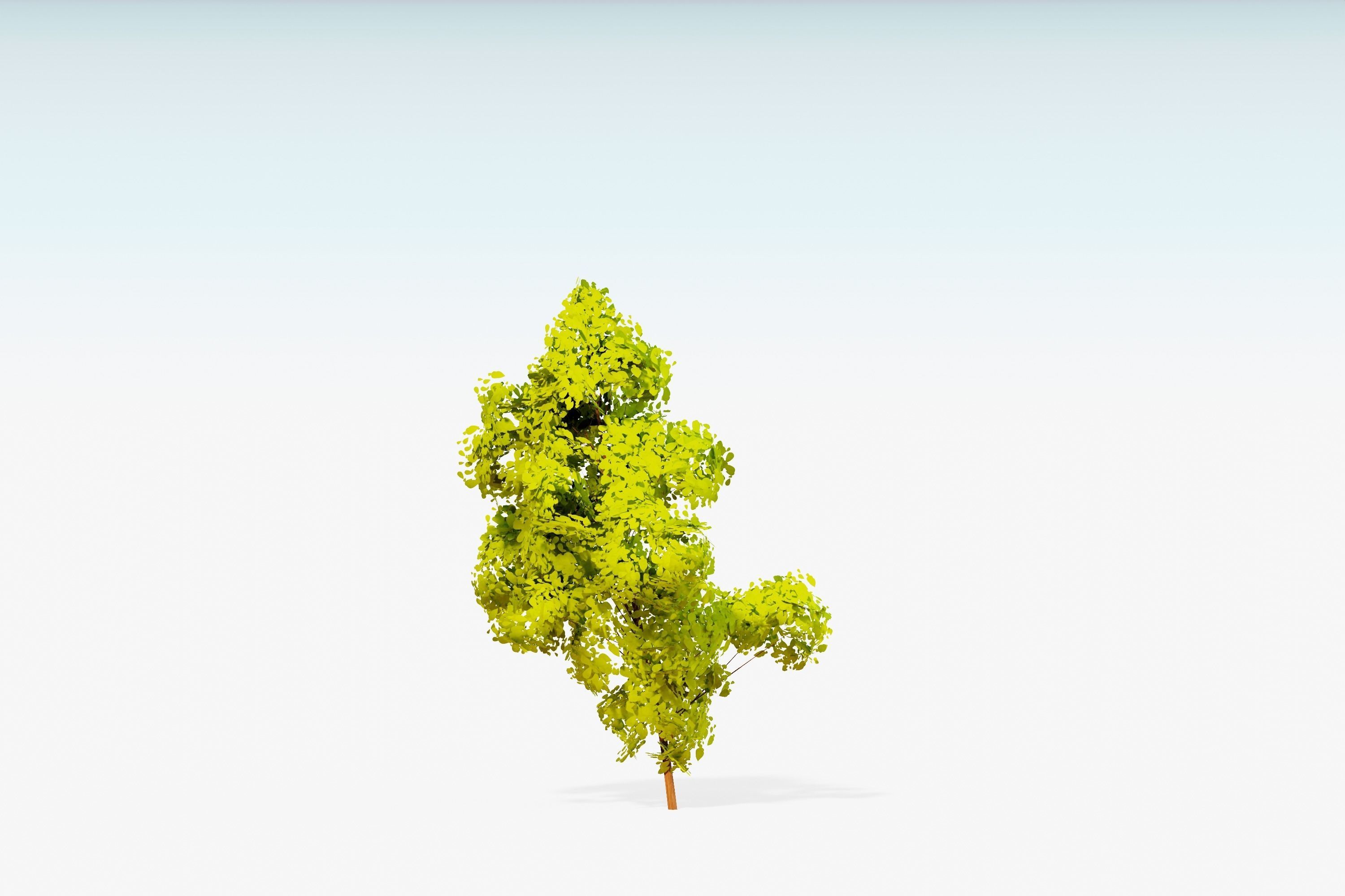 Stylized Trees Pack 55 Trees Low-poly 3D model_51