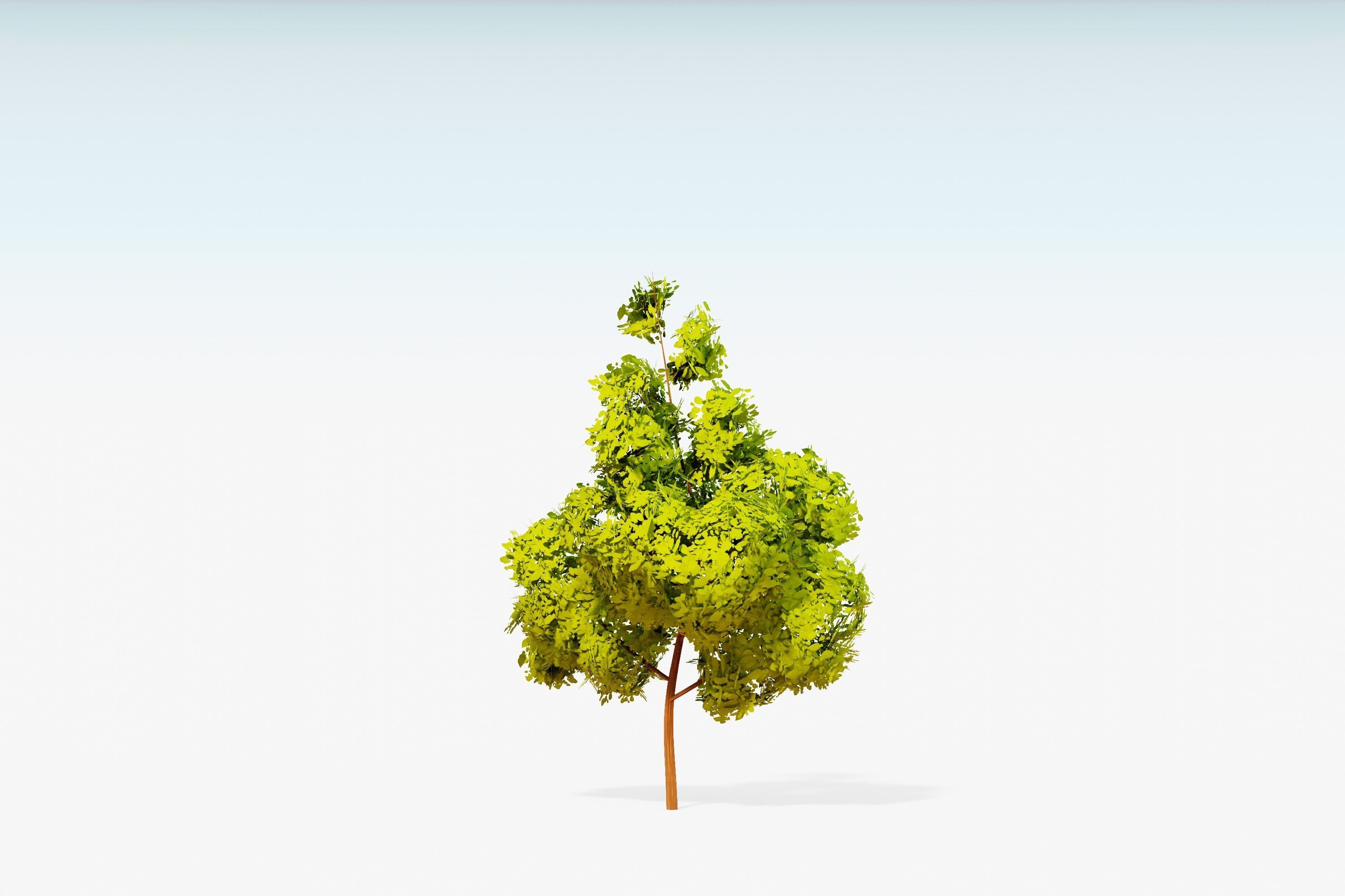 Stylized Trees Pack 55 Trees Low-poly 3D model_41