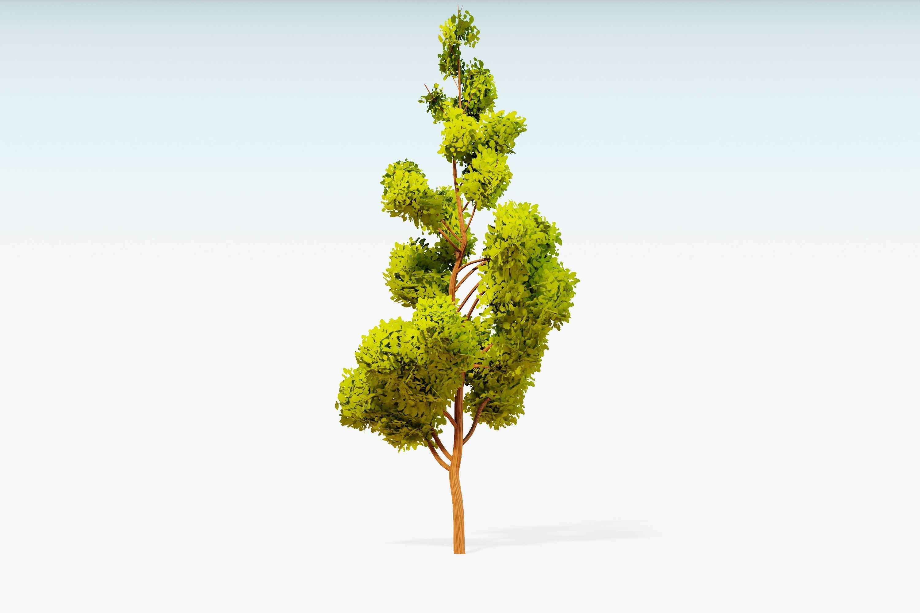 Stylized Trees Pack 55 Trees Low-poly 3D model_27