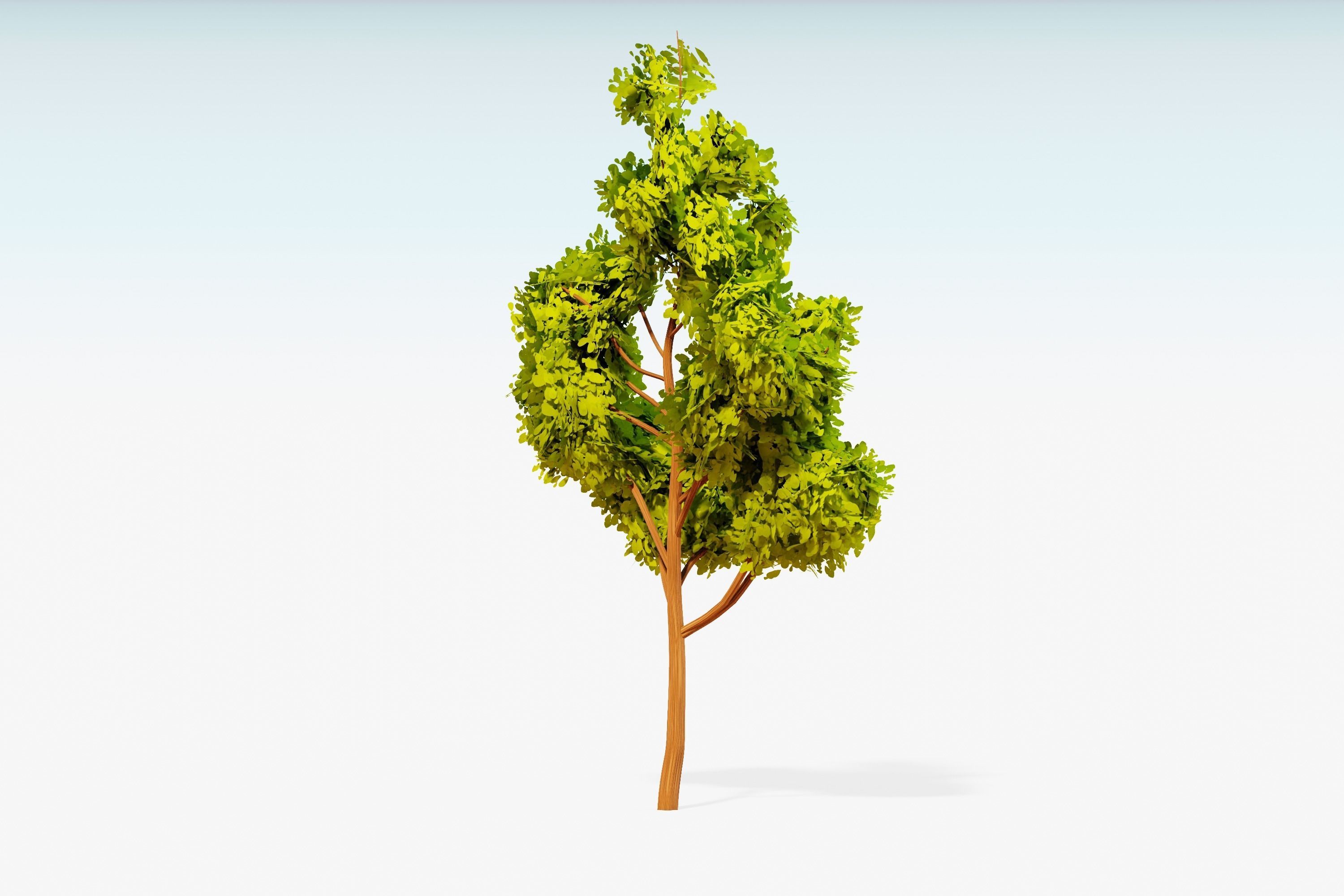 Stylized Trees Pack 55 Trees Low-poly 3D model_26