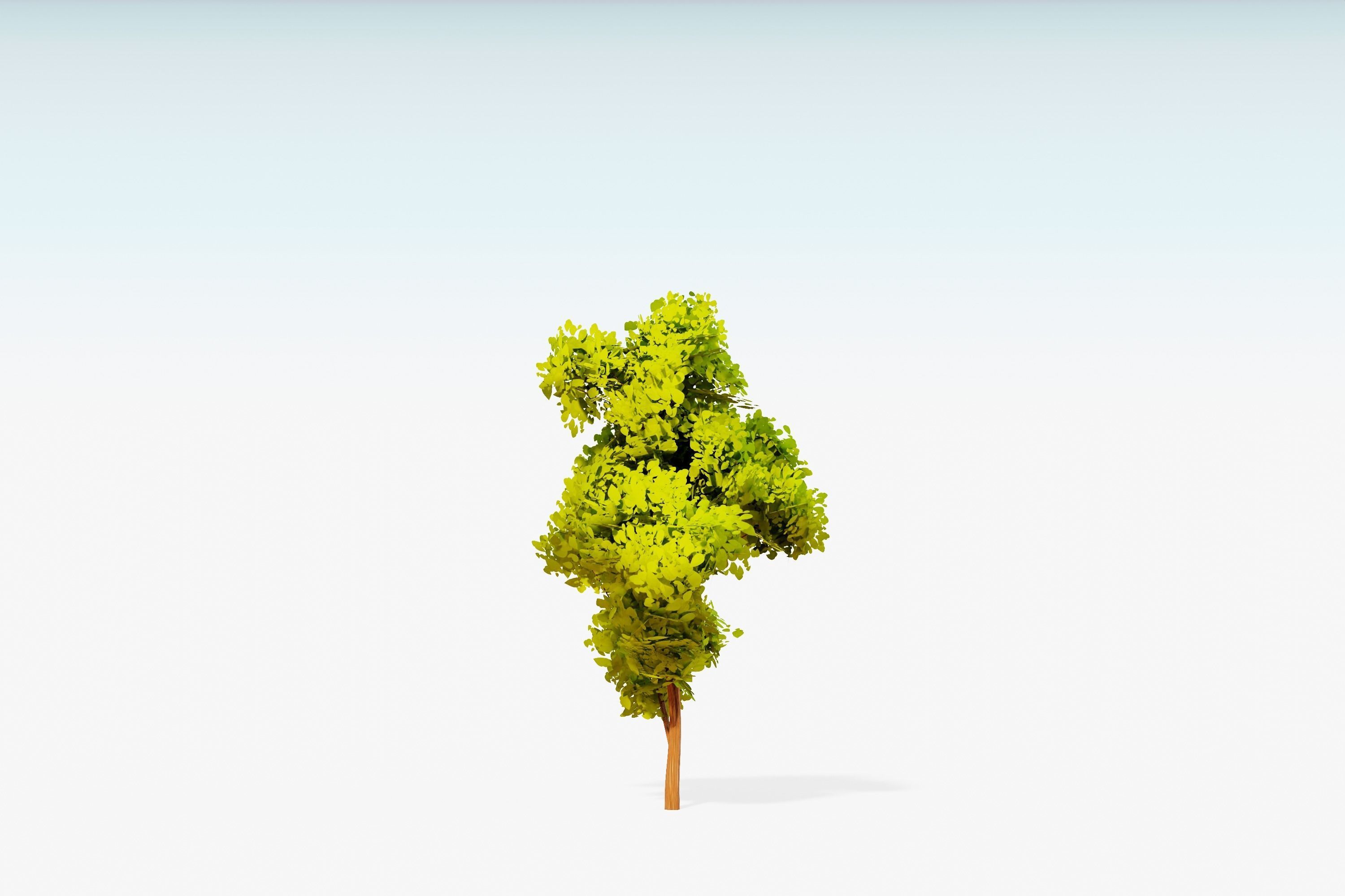 Stylized Trees Pack 55 Trees Low-poly 3D model_38