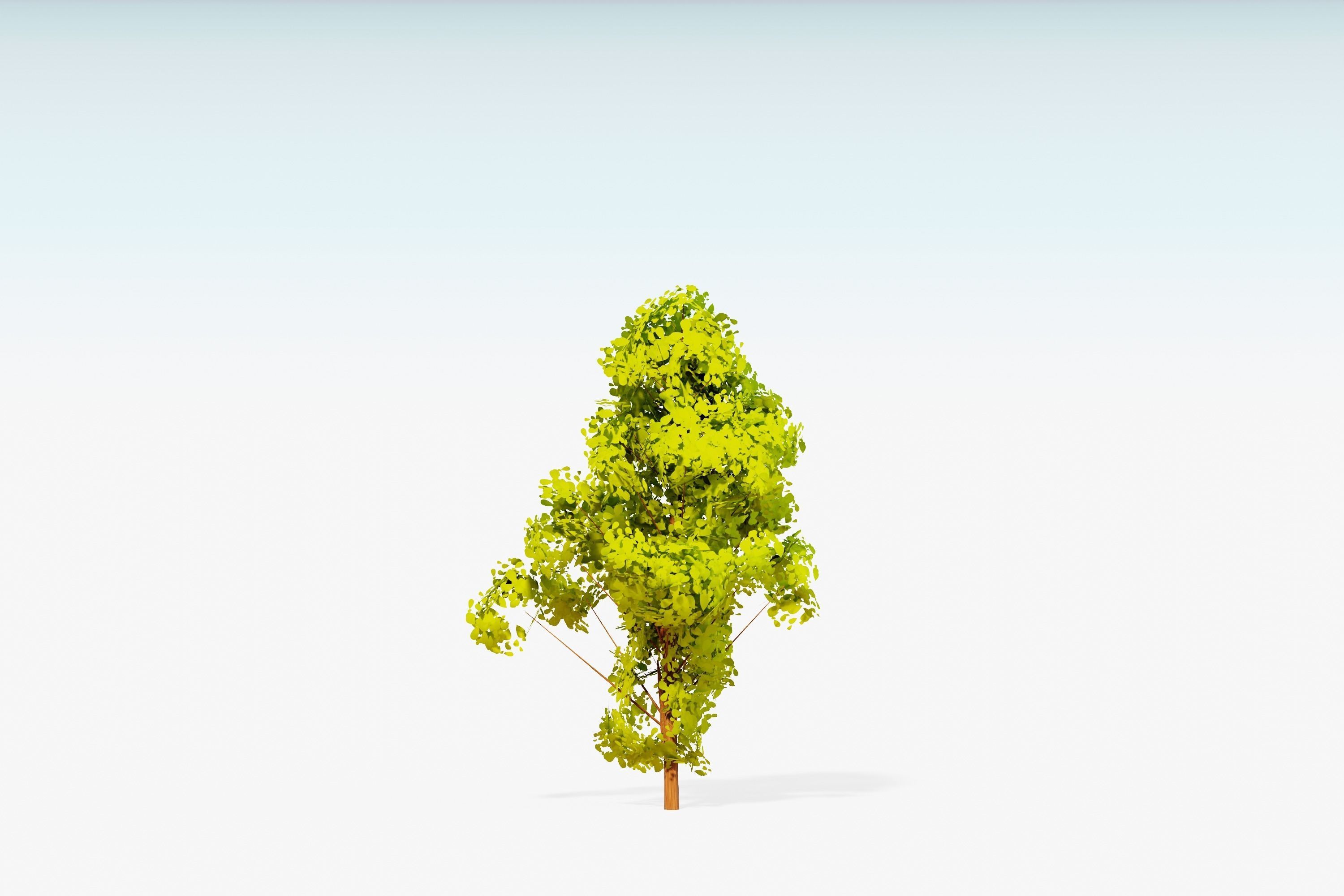Stylized Trees Pack 55 Trees Low-poly 3D model_52