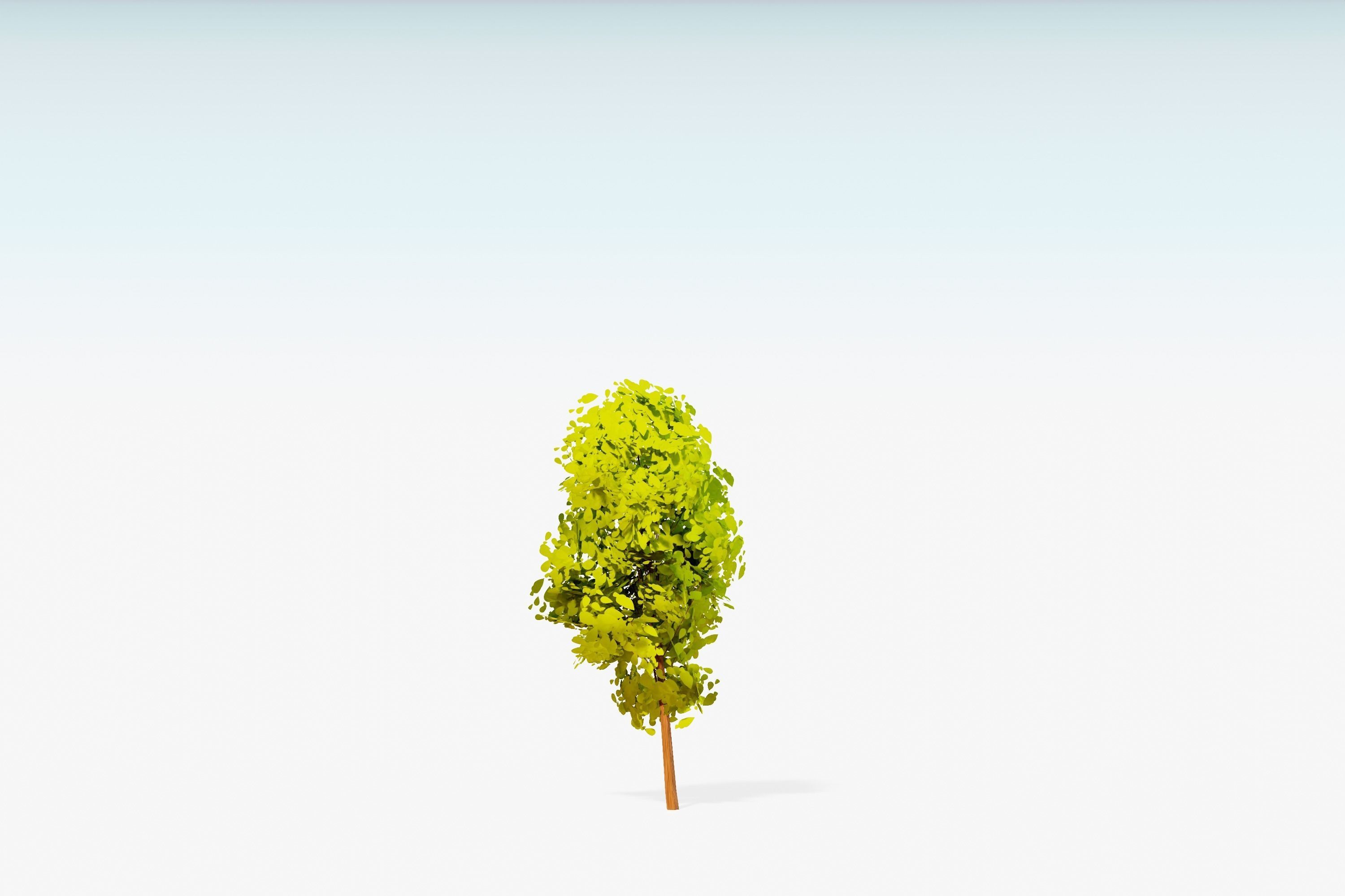 Stylized Trees Pack 55 Trees Low-poly 3D model_53