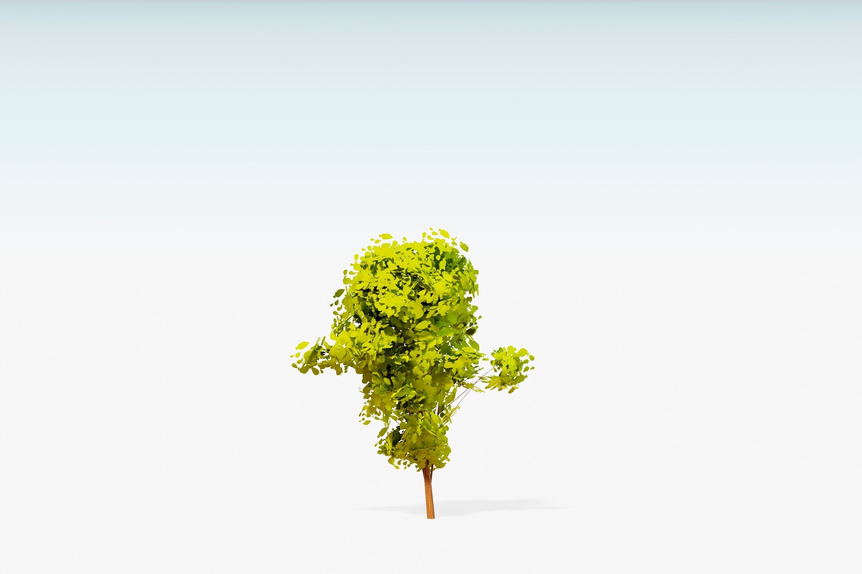 Stylized Trees Pack 55 Trees Low-poly 3D model_43