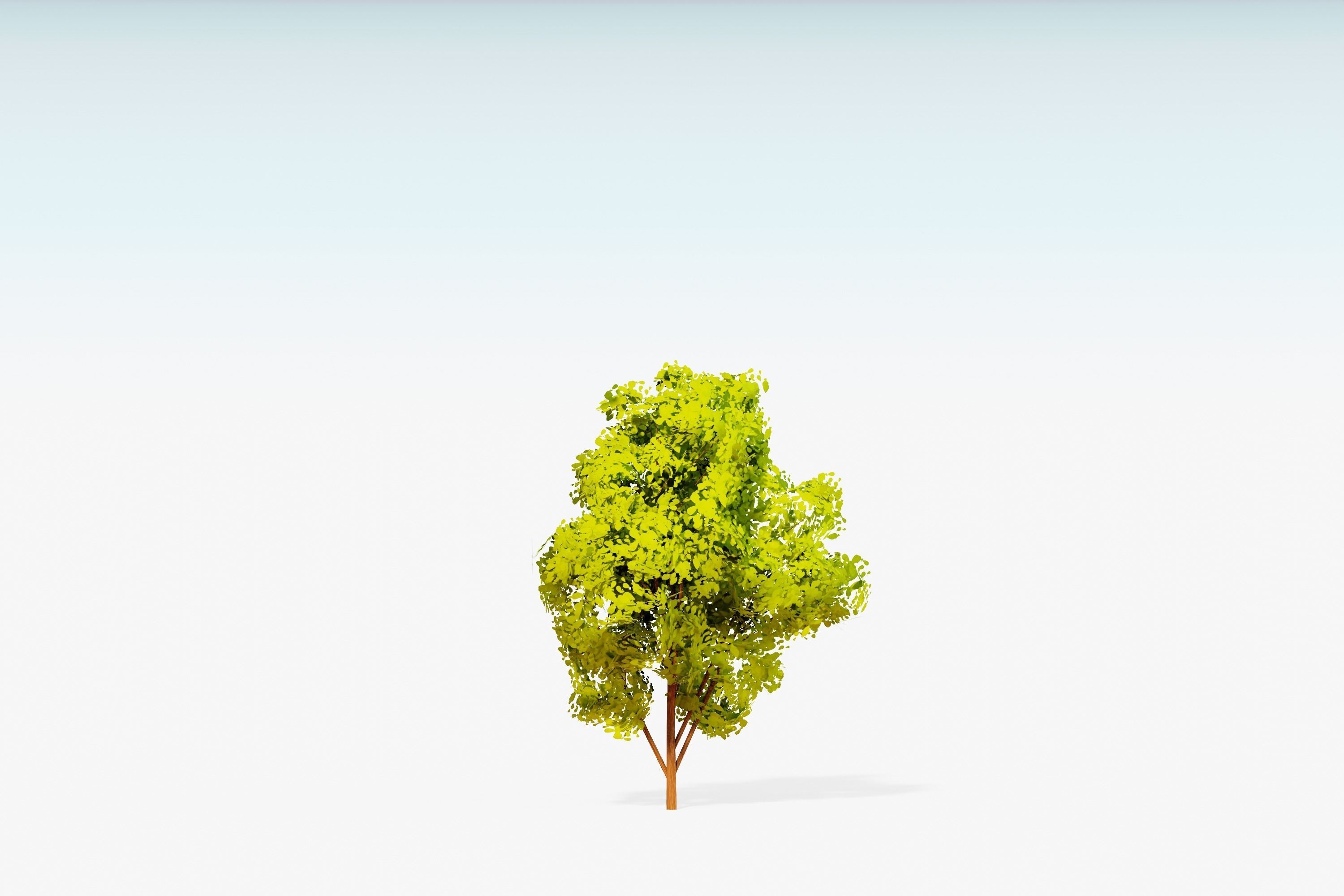 Stylized Trees Pack 55 Trees Low-poly 3D model_56