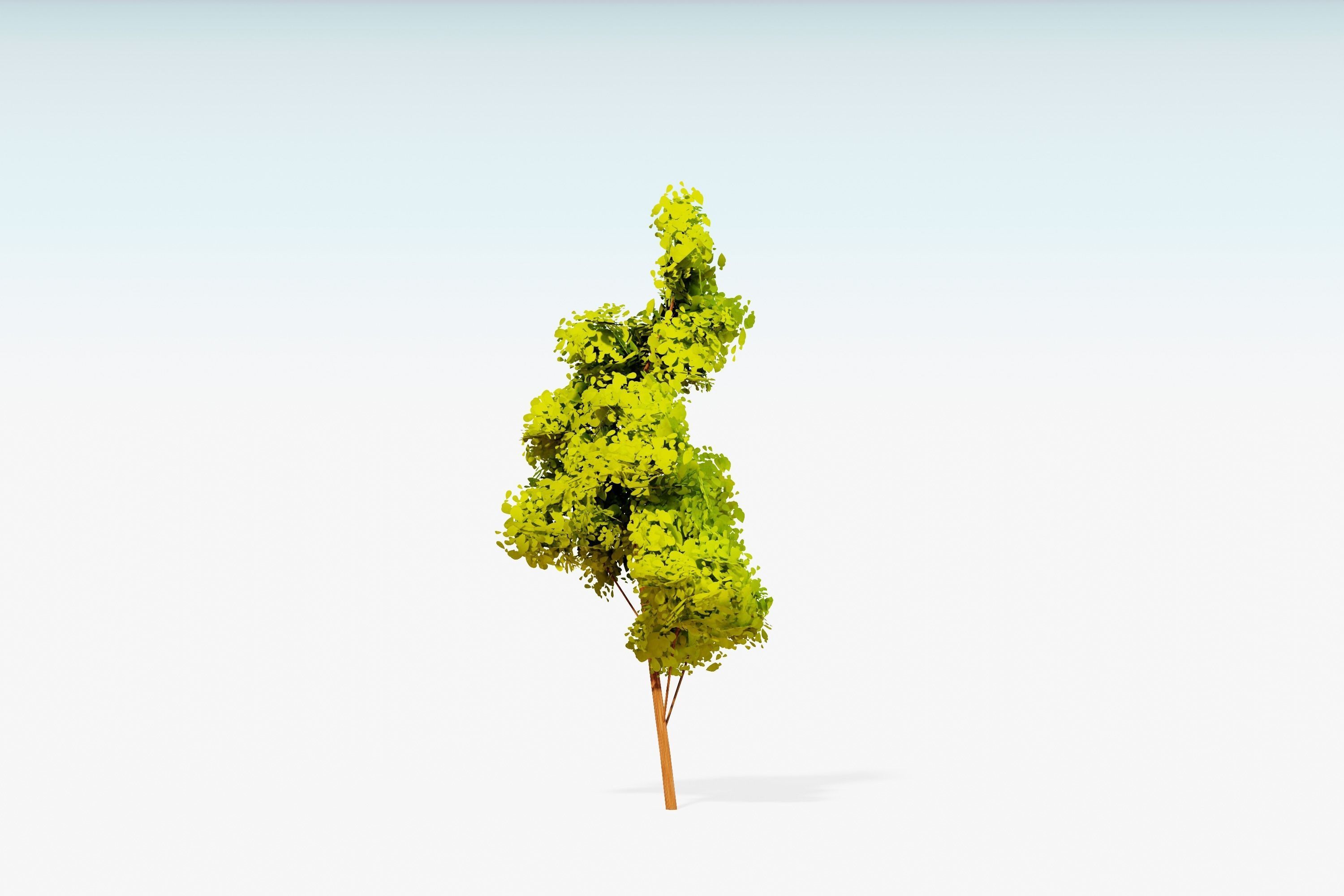 Stylized Trees Pack 55 Trees Low-poly 3D model_36