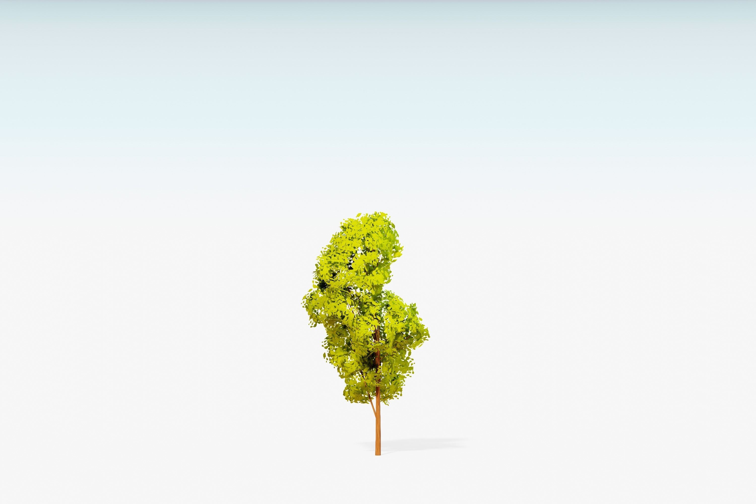 Stylized Trees Pack 55 Trees Low-poly 3D model_57