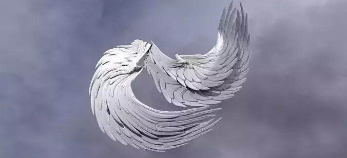 Spiral Curved Wings