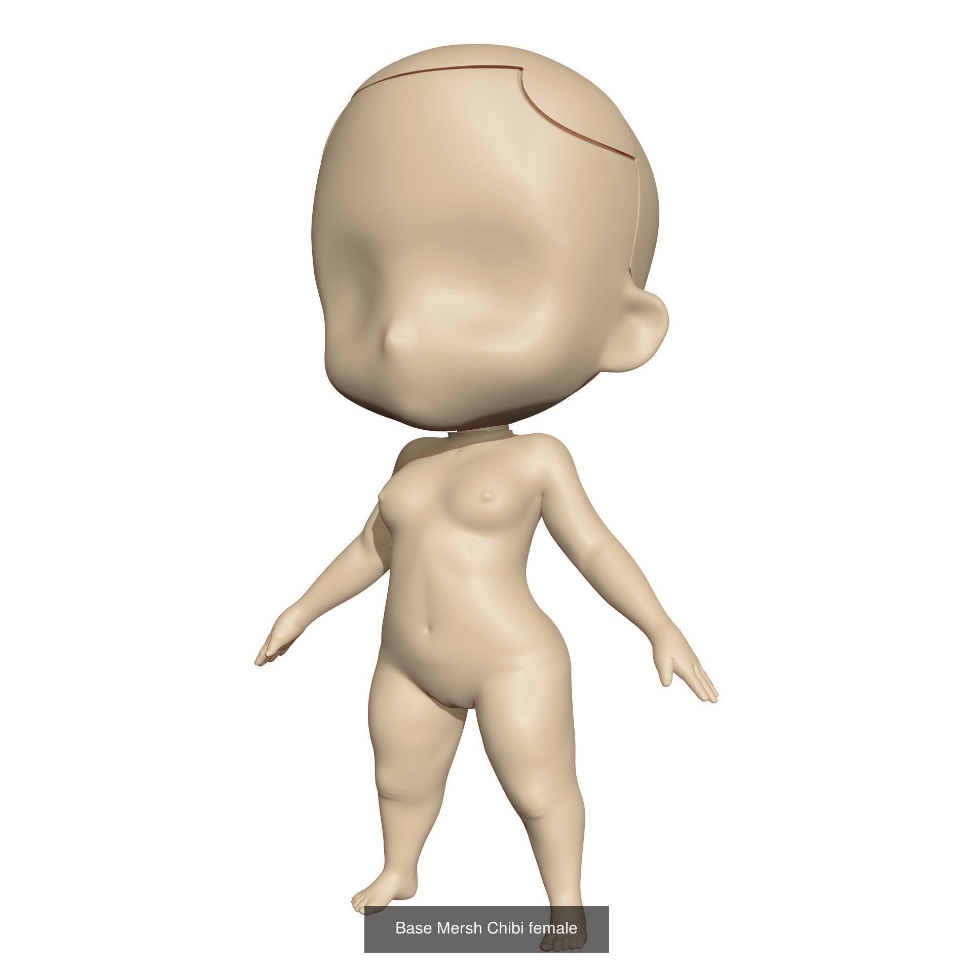 Base Mersh Chibi 3D Model Collection_1