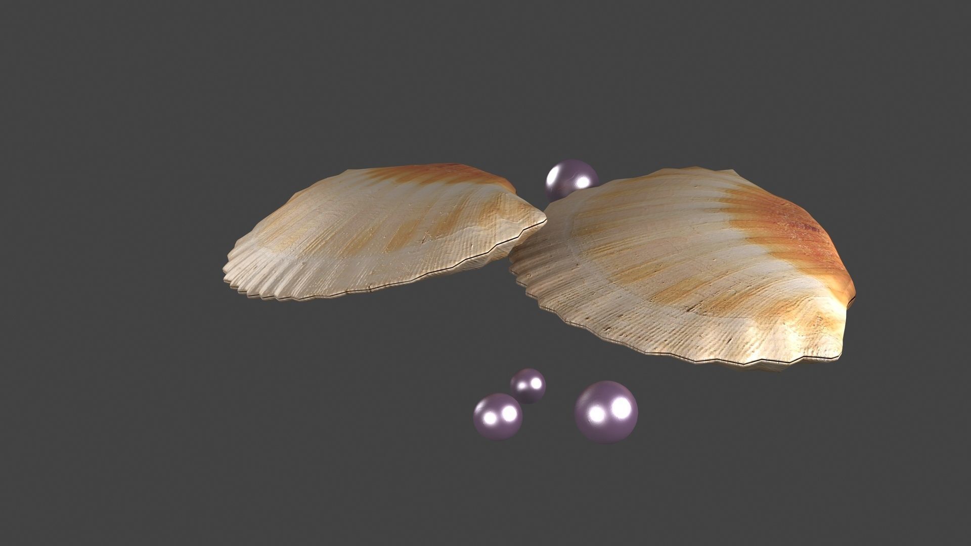 pearl in shell ocean oyster clamshell architecture sealife sea 3D model ...