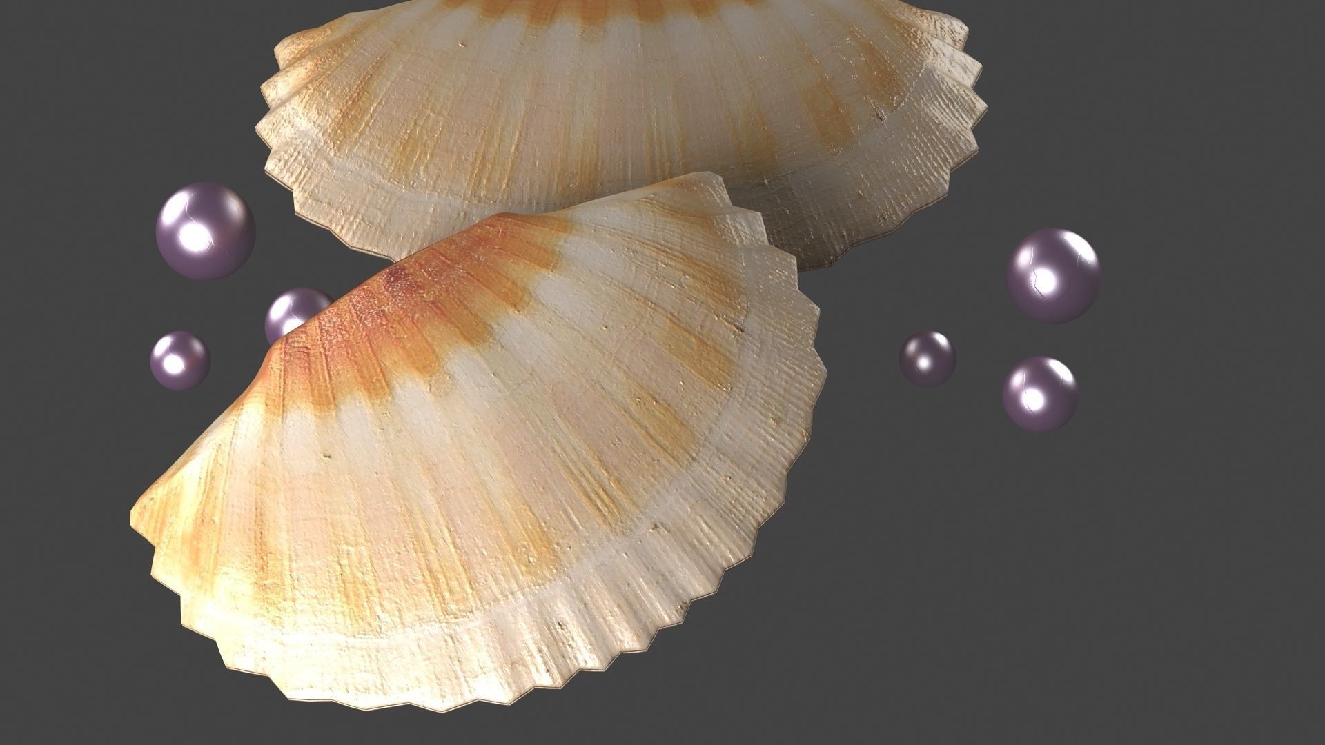 pearl in shell ocean oyster clamshell architecture sealife sea 3D model ...