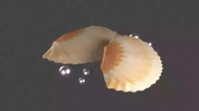 pearl in shell ocean oyster clamshell architecture sealife sea 3D model