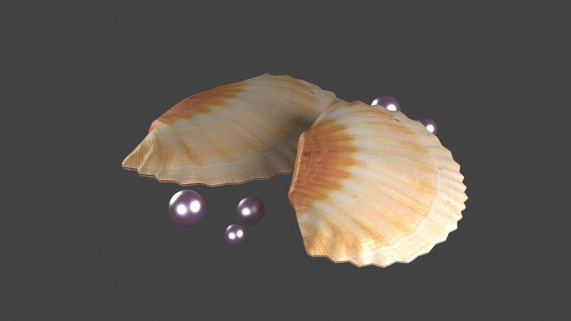 pearl in shell ocean oyster clamshell architecture sealife sea 3D model ...