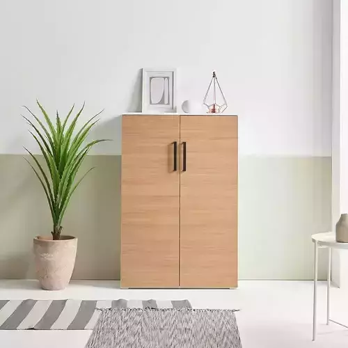 narrow apartment entrance shoe cabinet