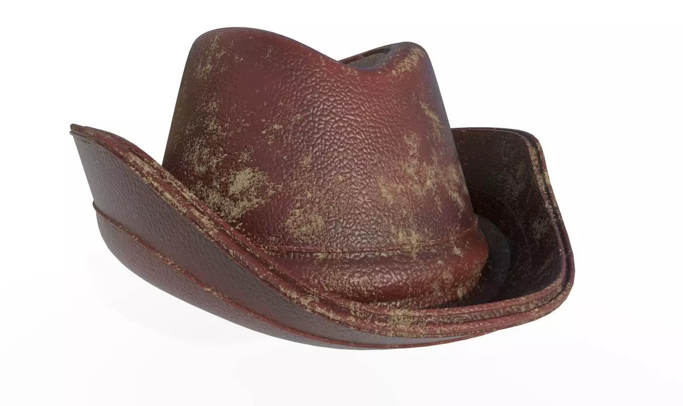 Cowboy Hat 3D model_0