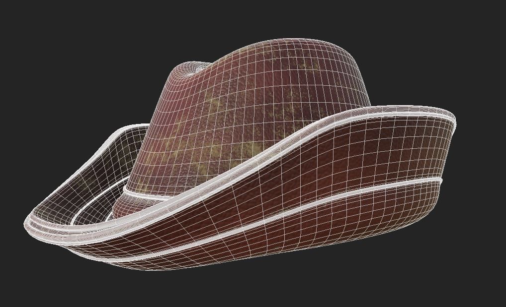 Cowboy Hat 3D model_3