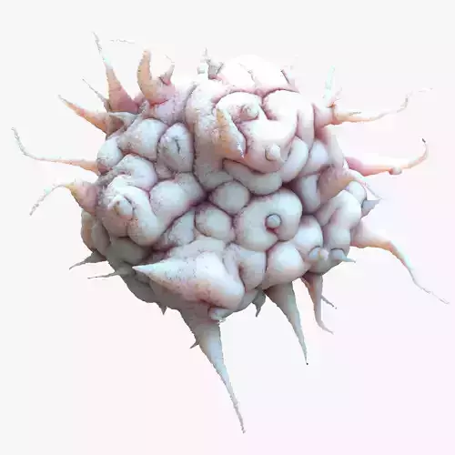 Cancer Cell 3D model