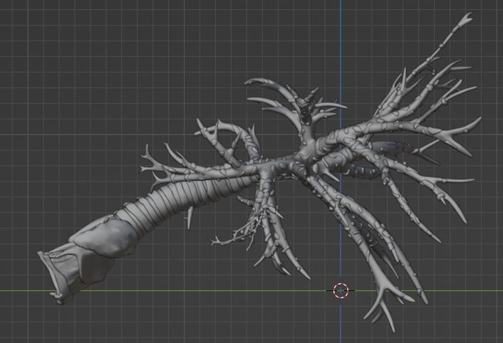 3d model of airways 3D model_10