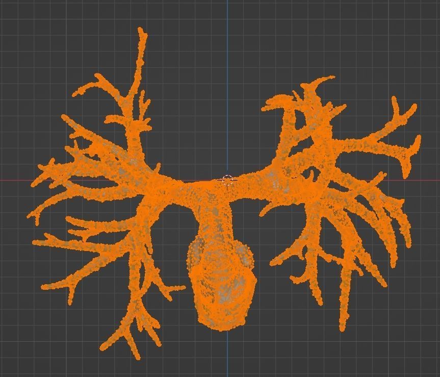 3d model of airways 3D model_15