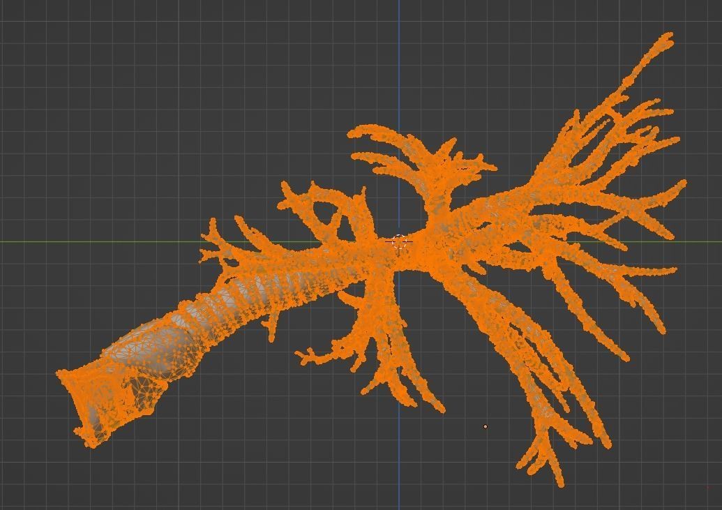 3d model of airways 3D model_12