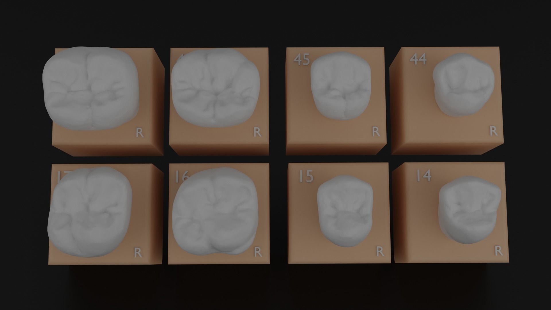 Platform teeth 3D print model_3