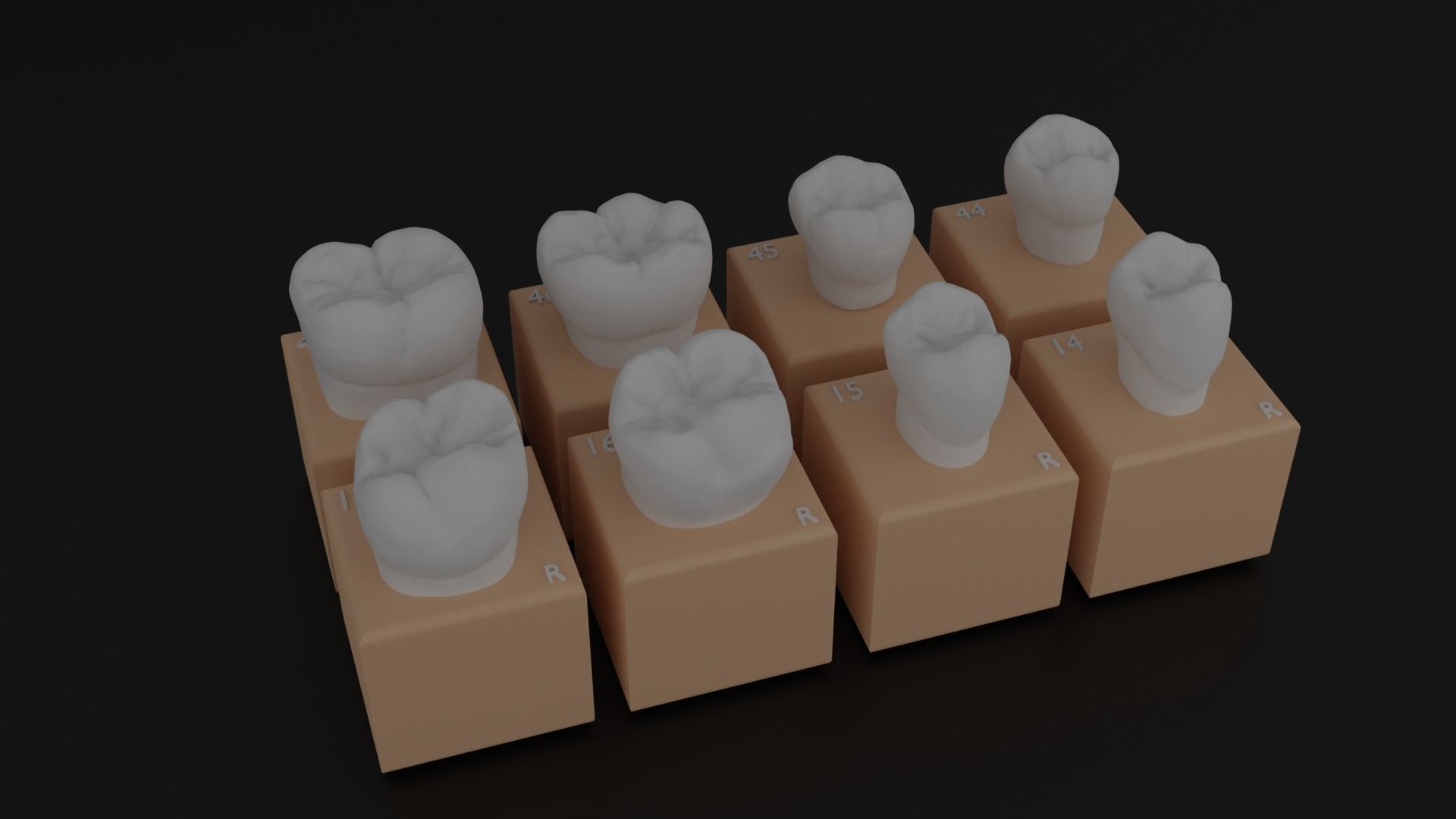 Platform teeth 3D print model_1