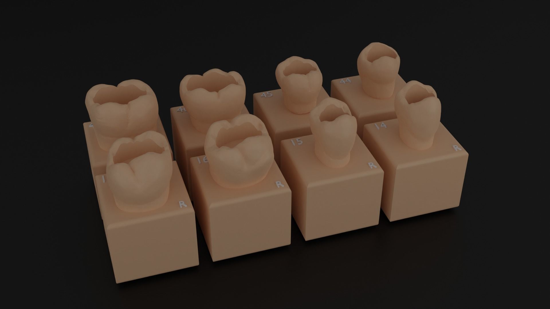 Platform teeth 3D print model_2