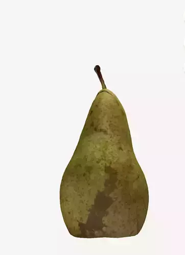 Natural Pear  3D print model