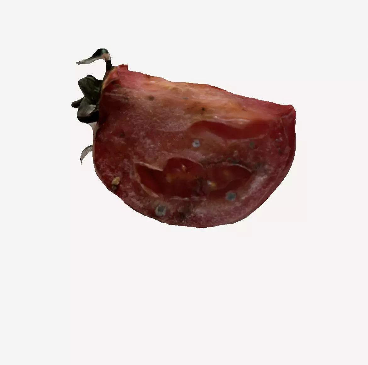 Rotten Tomato 3D print model