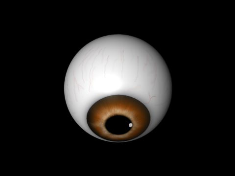 Brown eye Free low-poly 3D model_2