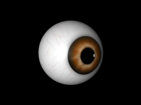 Brown eye Free low-poly 3D model_1