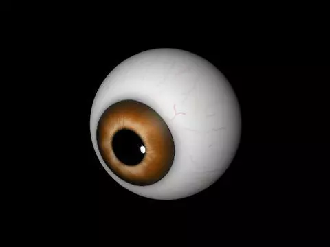Brown eye Free low-poly 3D model_0