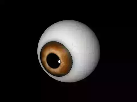 Brown eye Free low-poly 3D model