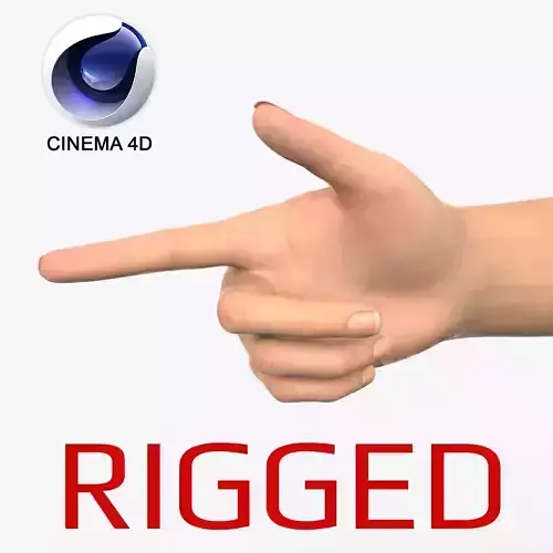Female Hand Rigged for Cinema 4D 3D model