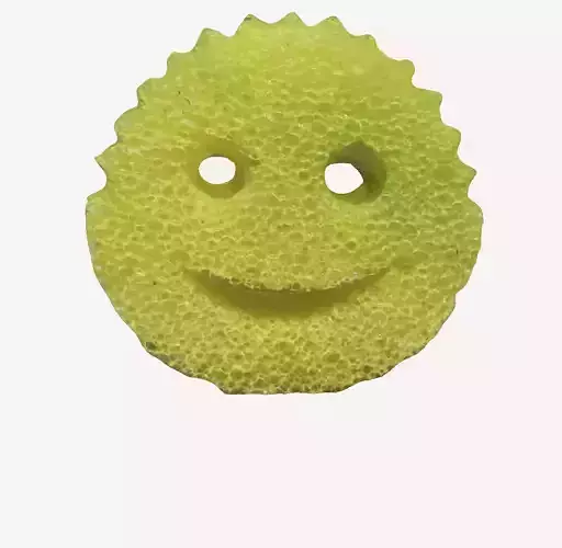 Dirty Scrub Daddy 3D print model