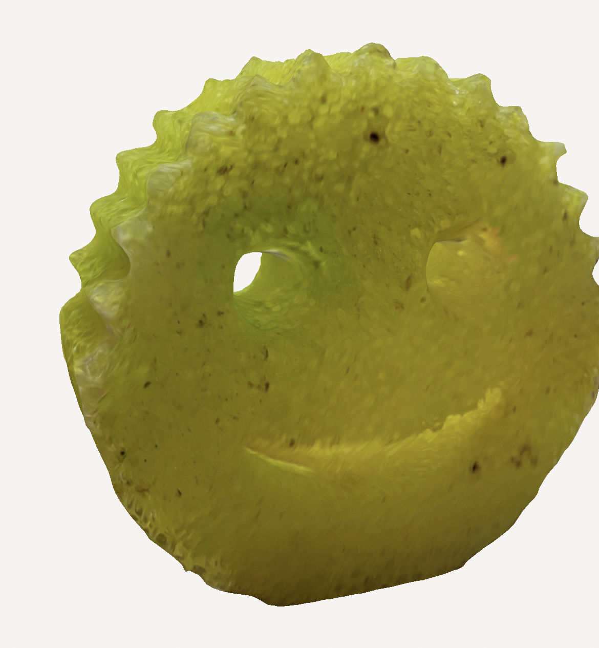 Dirty Scrub Daddy 3D print model_3