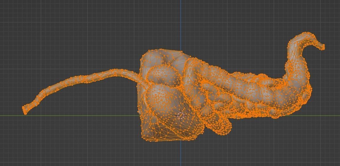 3d model of gastrointestinal tract with bones 3D model_24