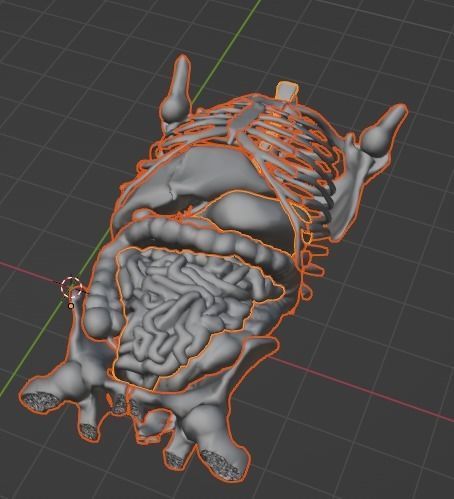 3d model of gastrointestinal tract with bones 3D model_25