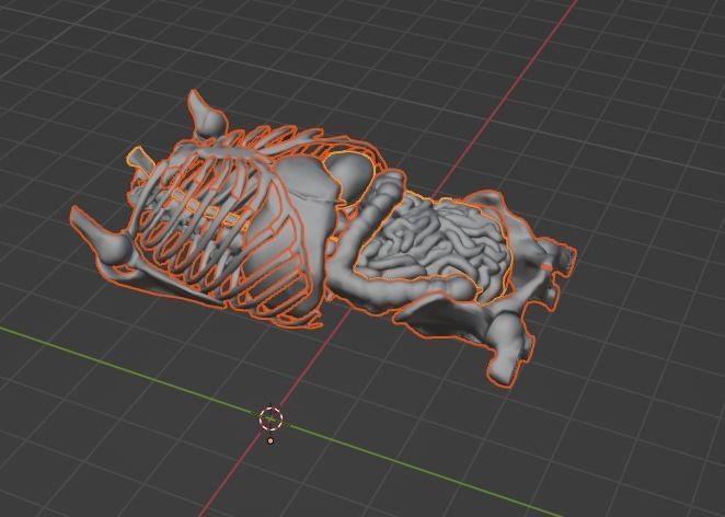 3d model of gastrointestinal tract with bones 3D model_26