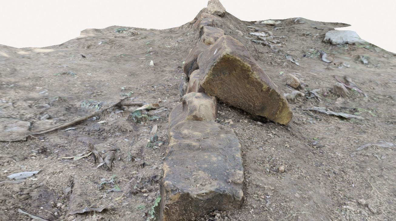 Rocks in Forest 3D model_4